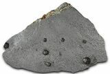 Plate of Six Red Embers Garnets in Graphite - Massachusetts #375780-1